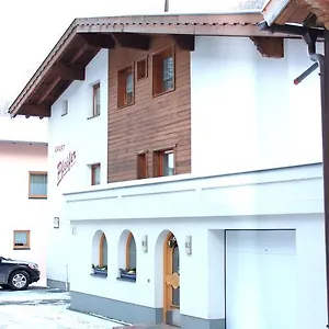  Appartement Pfeifer Oostenrijk